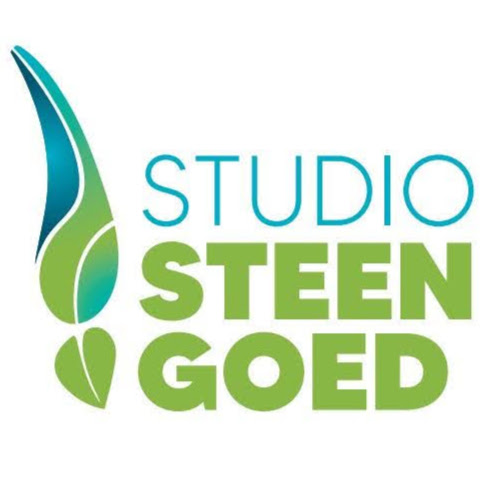 Studio Steengoed logo