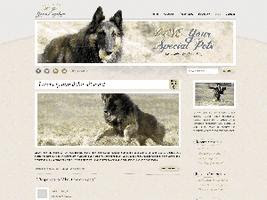 Pet Portraits