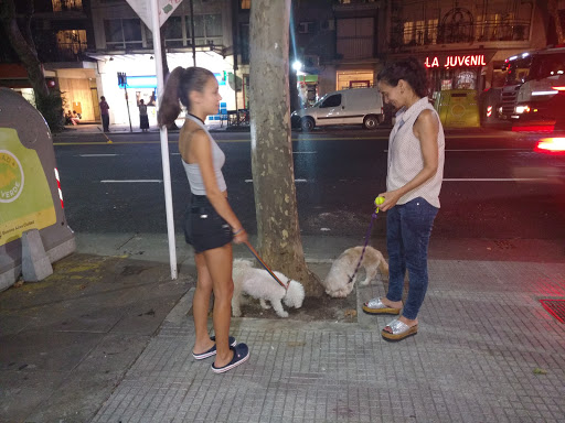 Freddo Pueyrredón