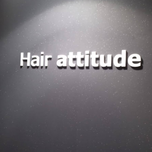 Hair Attitude Coiffure logo