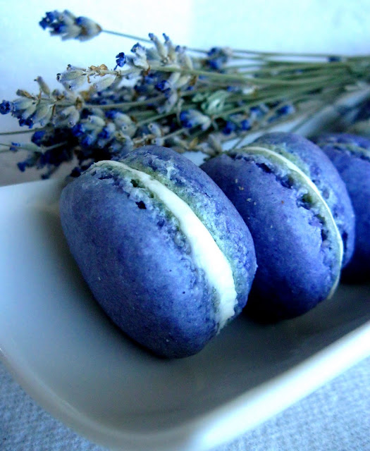 Macarons bleu lavande