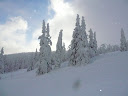 Sabinka, Jesenky 20.-22.1.2012