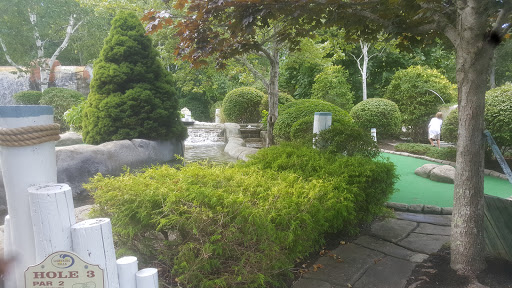 Steve & Sue's Par-Tee Freeze & Adventure Falls Mini Golf