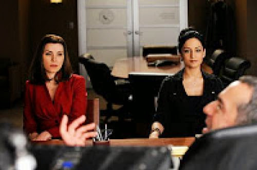 Slugger The Truth About Kalinda Comes Out On The Good Wife Ham Sandwich