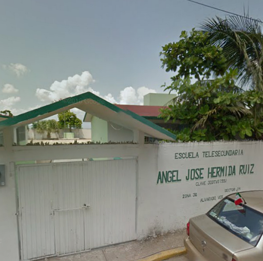 Escuela Telesecundaria Ángel José Hermida Ruiz, Sur 7, Lomas del Rosario, 95278 Alvarado, Ver., México, Escuela | VER