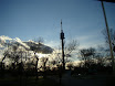 DSC03453.JPG