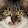 Aliou Lee Aliou Lee's profile photo