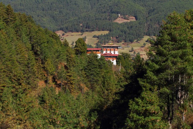 Jakar Dzong -tucked amidst pine trees