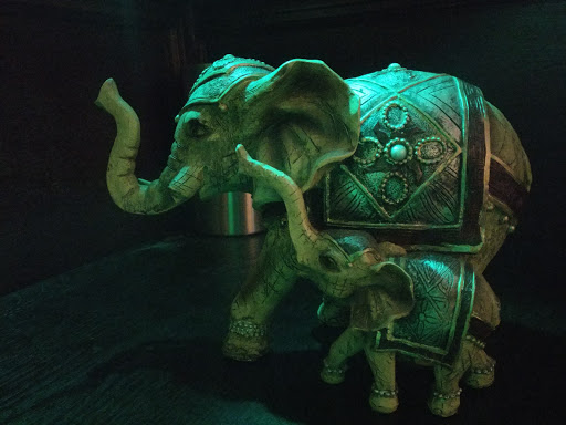 Indian Restaurant «Maharaja Palace», reviews and photos, 2113 Frederick Douglass Blvd, New York, NY 10026, USA