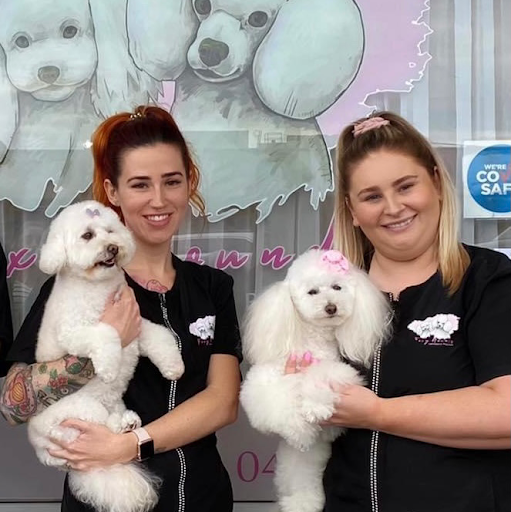 Foxy Hounds Dog Grooming Parlour
