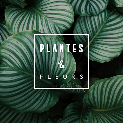Plantes & Fleurs
