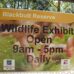 Blackbutt Reserve 'Wildlife Exhibits' sign in Carnley Ave Reserve (401965)