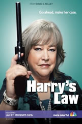 Harrys Law 2x11 Sub Español Online