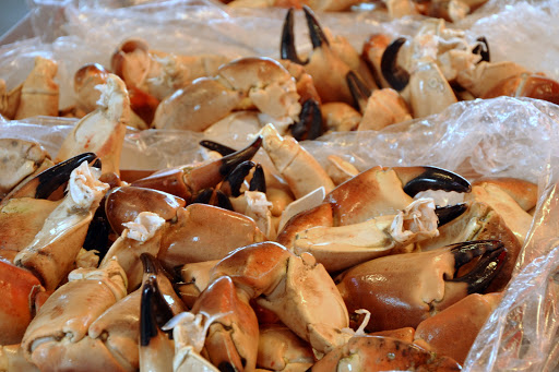 The Fish Market