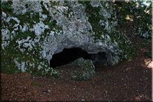 Cueva de San León