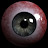 Tommy Twoshoes avatar image