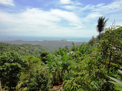 Майский Тай (Бангкок-Самуи-Тао)