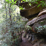 Track beside cliff (117574)