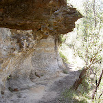 Track beneath cave (15457)