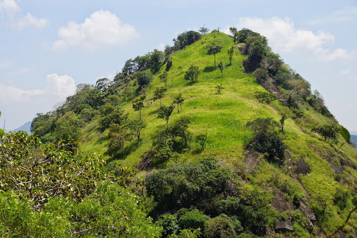 Шри-Ланка: на машине 1 100 км,  фото без комментариев, март-апрель 2013г.