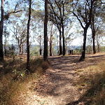 Across the Nurrunga Picnic area (198235)