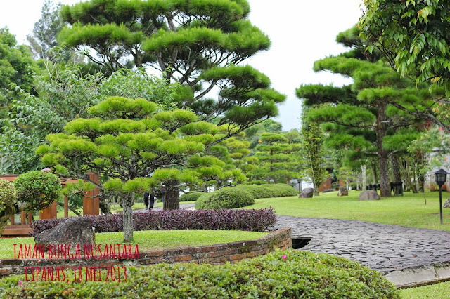  Taman Bunga Nusantara Puncak Cipanas