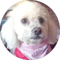 User profile - Steve Mylenski Sr..