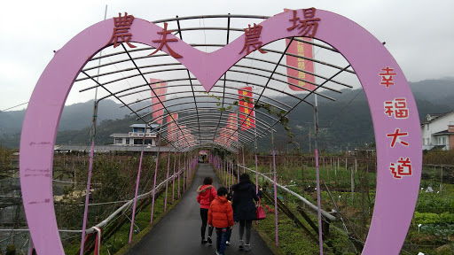 蔥仔寮體驗農場