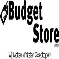 Budget Store - Spijkenisse logo
