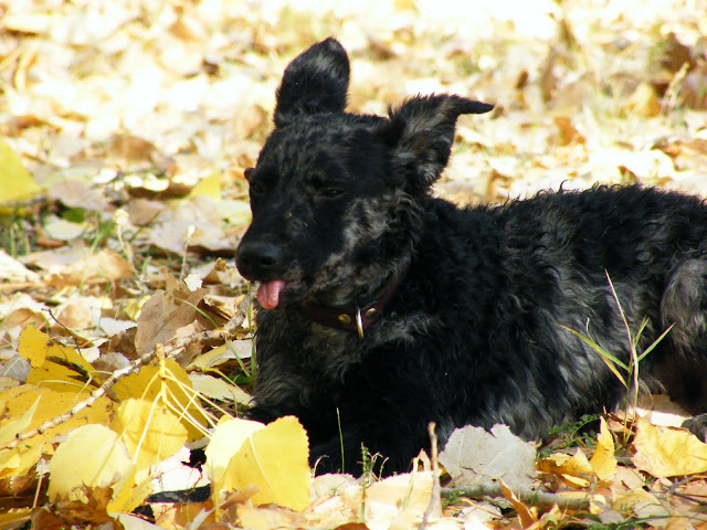 DSCF8006.JPG