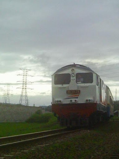 [Image: IMAG0019.JPG]