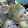 Roy Tock Roy Tock's profile photo