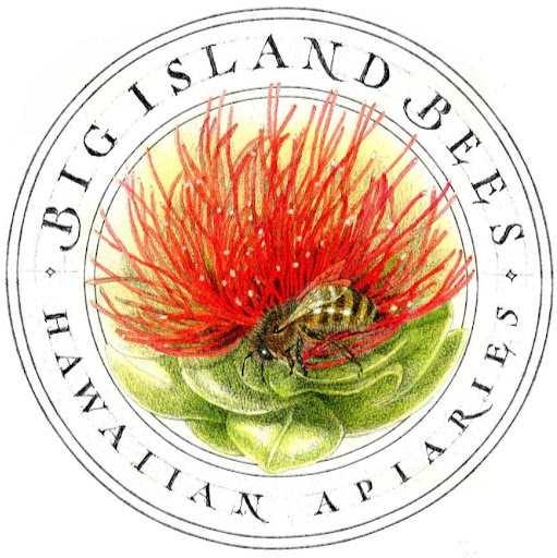 Big Island Bees logo