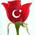 süleyman Turgut