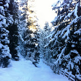 Wandern - Winter-Impressionen 2012