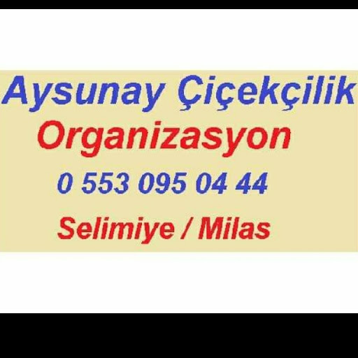 Aysunay Çiçekçilik & Organizasyon logo