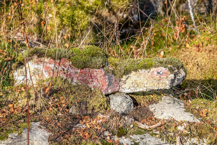 Stone turtle in Norway. Photographer Benny Høynes
