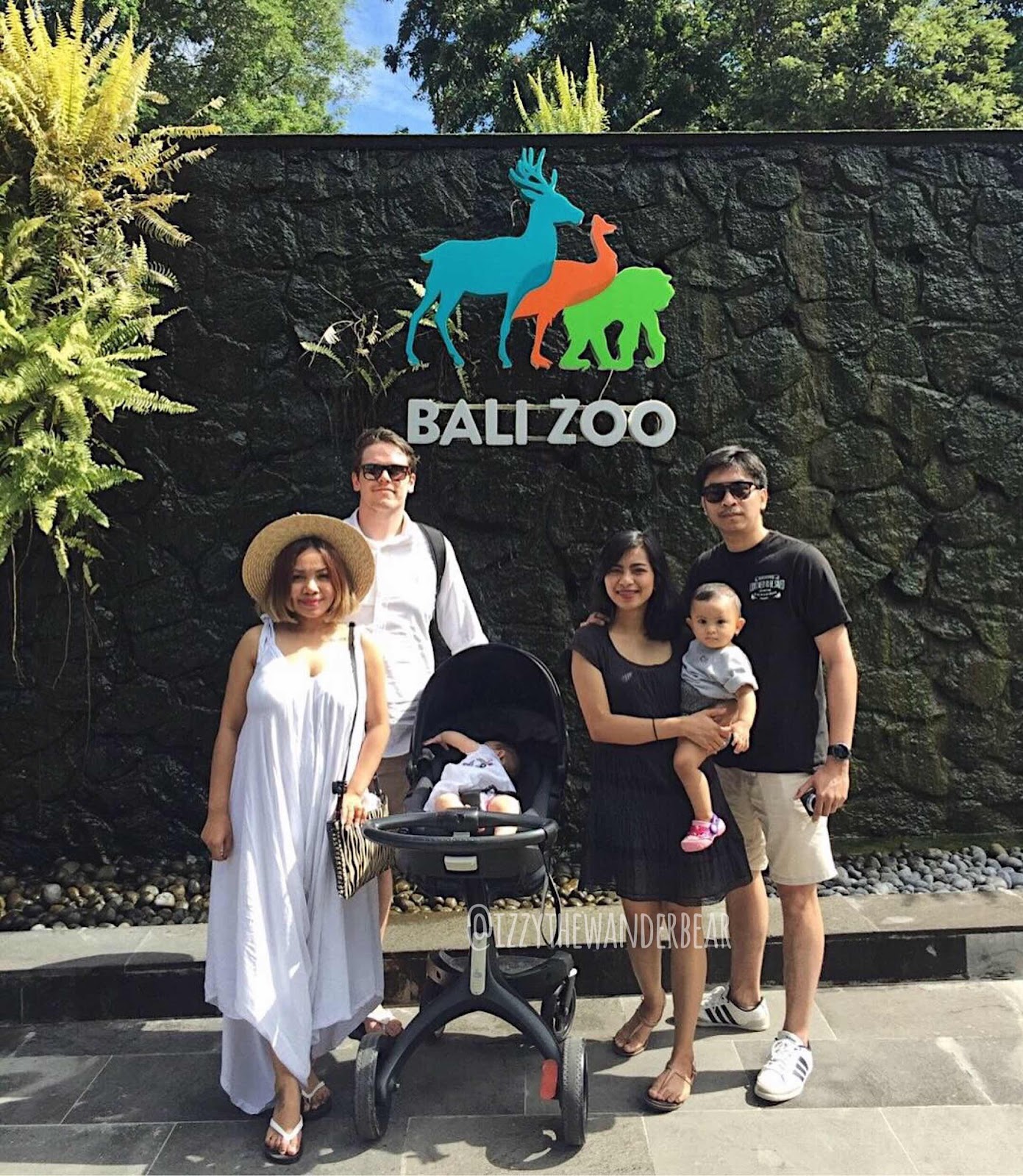 Izzy the Wander Bear - Bali Zoo