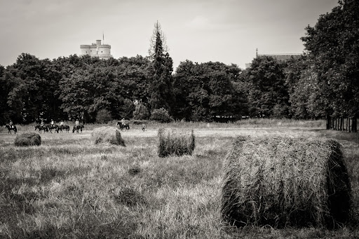 Bois de Vincennes