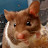 Barry Smith avatar image