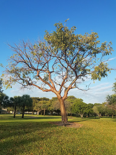 Park «Liberty Tree Park», reviews and photos, 7421 NW 5th St, Plantation, FL 33317, USA