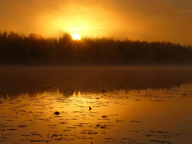 niiles+brume+soleil+rayons+036.JPG