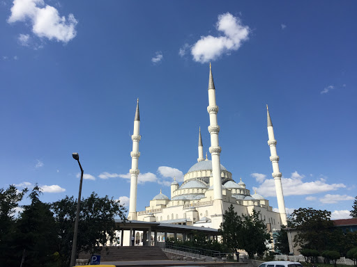 Place around image