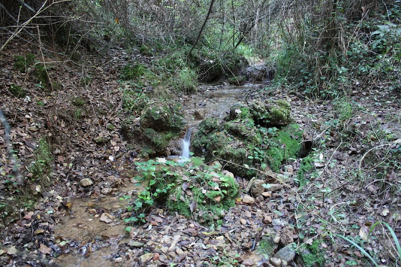 Torrent de Gotelles
