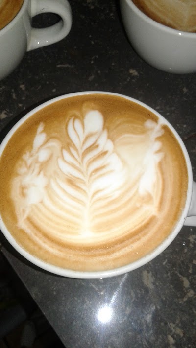 Photos of Blum Coffee