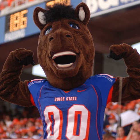 Buster Bronco