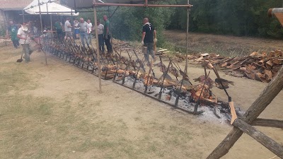 Photos of Camp Family Kopačevo