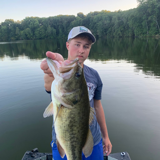 c aden da best at coding