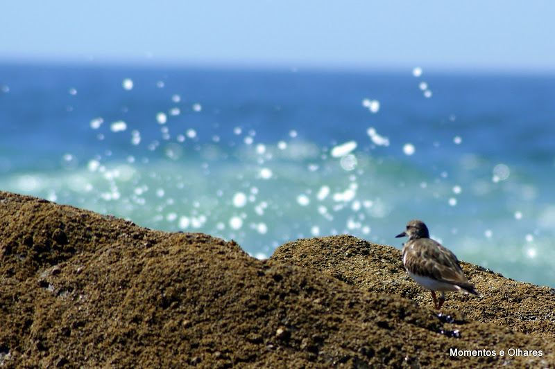 Praia Grande, Porto Covo