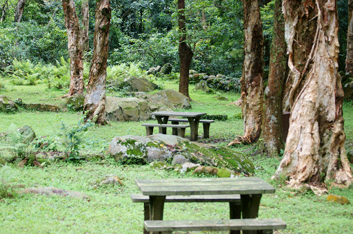 Pineapple Dam Nature Trail